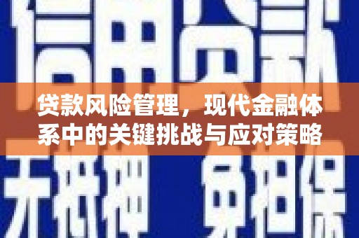 舟山新区贷款风险管理，现代金融体系中的关键挑战与应对策略
