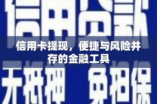 舟山新区信用卡提现，便捷与风险并存的金融工具