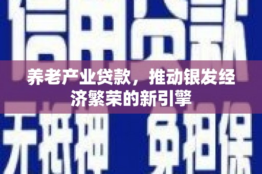 舟山新区养老产业贷款，推动银发经济繁荣的新引擎