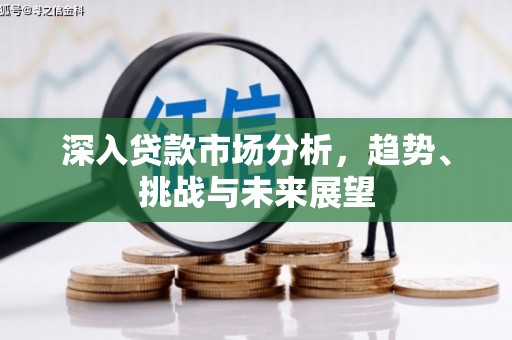 舟山新区深入贷款市场分析，趋势、挑战与未来展望