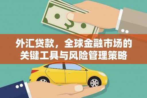 舟山新区外汇贷款，全球金融市场的关键工具与风险管理策略