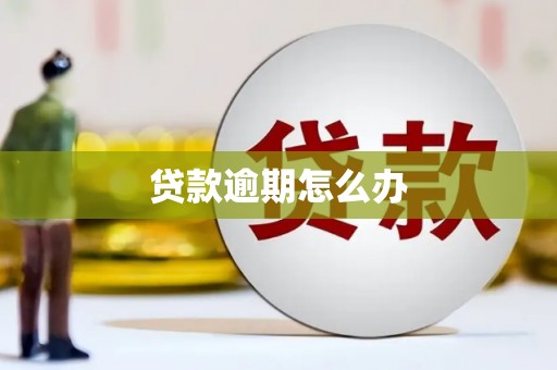 舟山新区贷款逾期怎么办