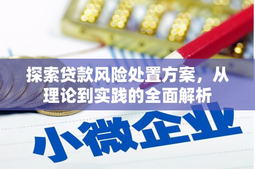 舟山新区探索贷款风险处置方案，从理论到实践的全面解析