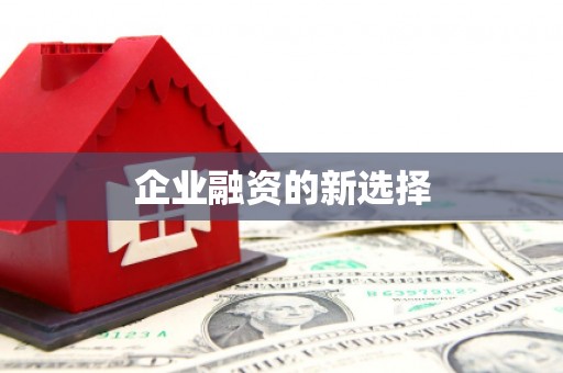 舟山新区企业融资的新选择