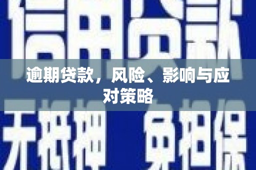 舟山新区逾期贷款，风险、影响与应对策略