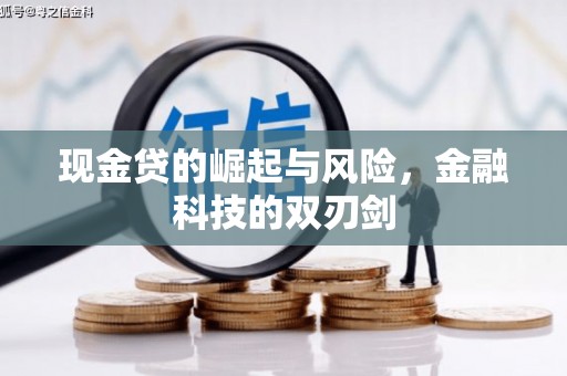 舟山新区现金贷的崛起与风险，金融科技的双刃剑