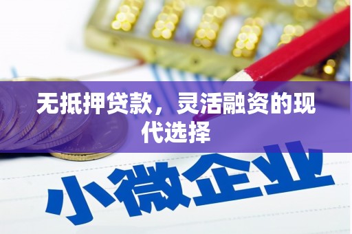 舟山新区无抵押贷款，灵活融资的现代选择