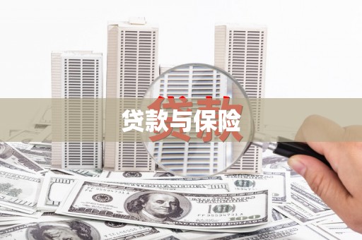 舟山新区贷款与保险