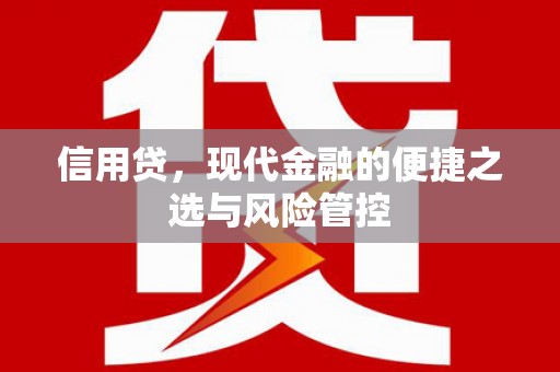 舟山新区信用贷，现代金融的便捷之选与风险管控