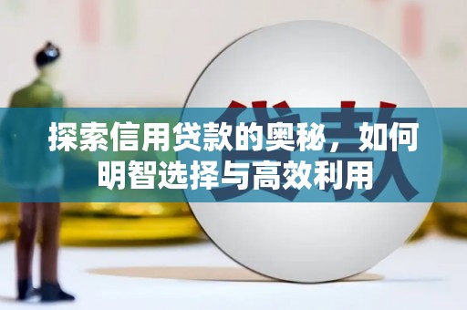舟山新区探索信用贷款的奥秘，如何明智选择与高效利用