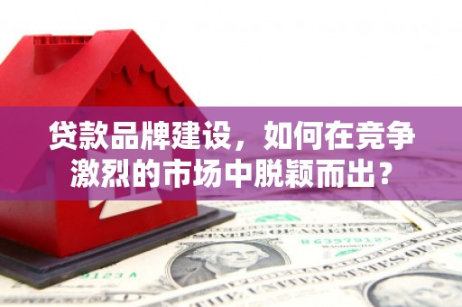 舟山新区贷款品牌建设，如何在竞争激烈的市场中脱颖而出？