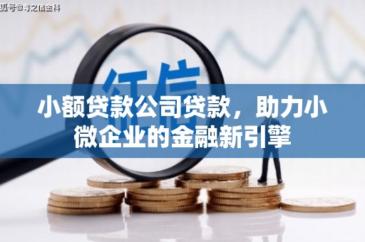 舟山新区小额贷款公司贷款，助力小微企业的金融新引擎