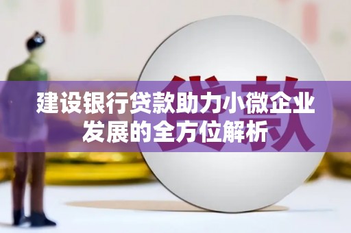舟山新区建设银行贷款助力小微企业发展的全方位解析