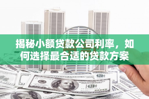 舟山新区揭秘小额贷款公司利率，如何选择最合适的贷款方案