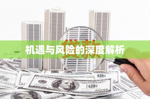 舟山新区机遇与风险的深度解析
