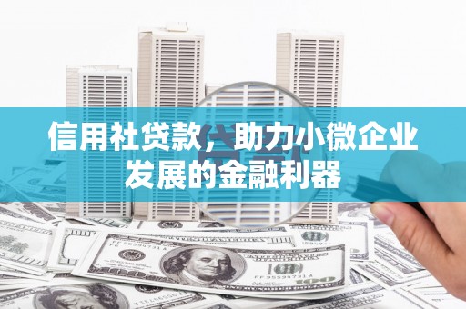 舟山新区信用社贷款，助力小微企业发展的金融利器