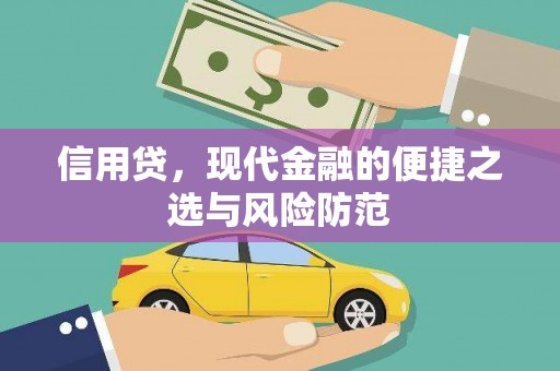 舟山新区信用贷，现代金融的便捷之选与风险防范