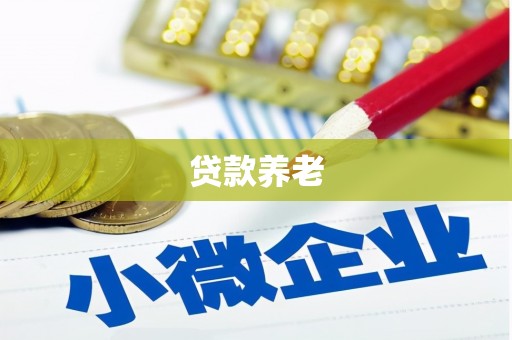 舟山新区贷款养老