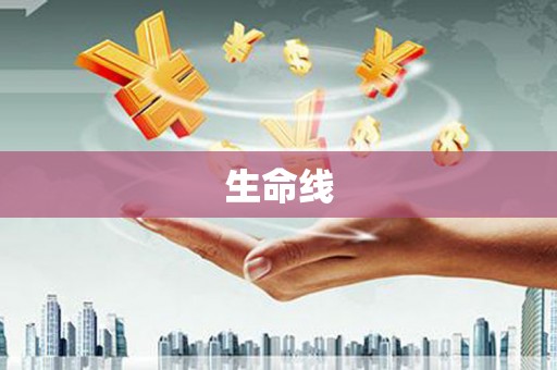 舟山新区生命线