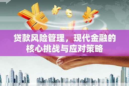舟山新区贷款风险管理，现代金融的核心挑战与应对策略