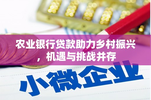 舟山新区农业银行贷款助力乡村振兴，机遇与挑战并存