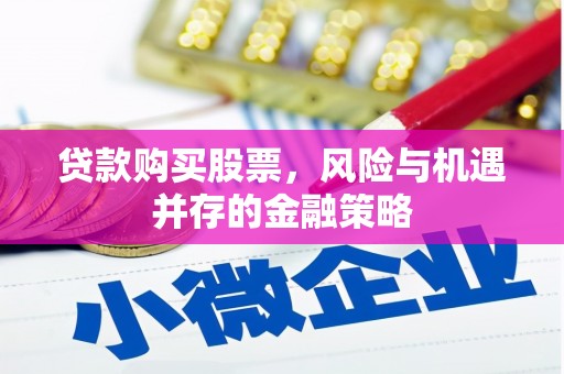 舟山新区贷款购买股票，风险与机遇并存的金融策略