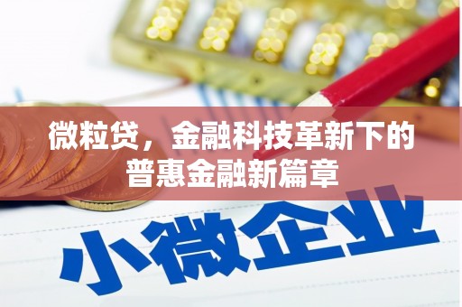 舟山新区微粒贷，金融科技革新下的普惠金融新篇章