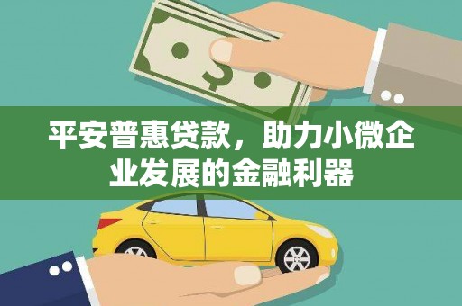 舟山新区平安普惠贷款，助力小微企业发展的金融利器
