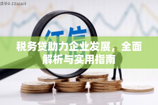 舟山新区税务贷助力企业发展，全面解析与实用指南
