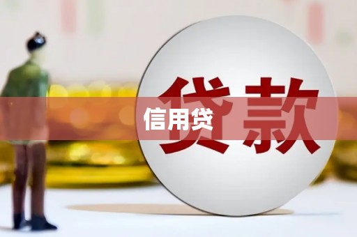 舟山新区信用贷