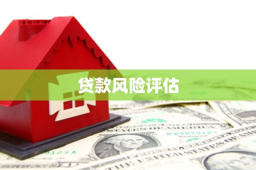 舟山新区贷款风险评估