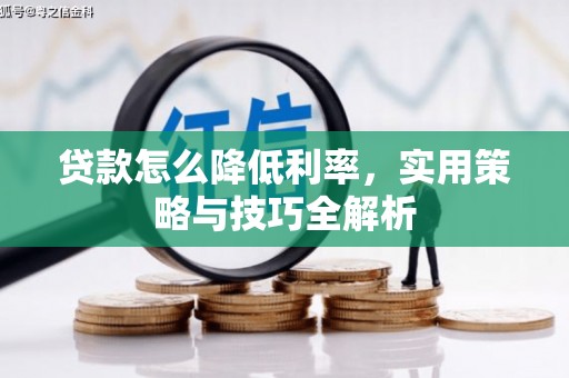 舟山新区贷款怎么降低利率，实用策略与技巧全解析
