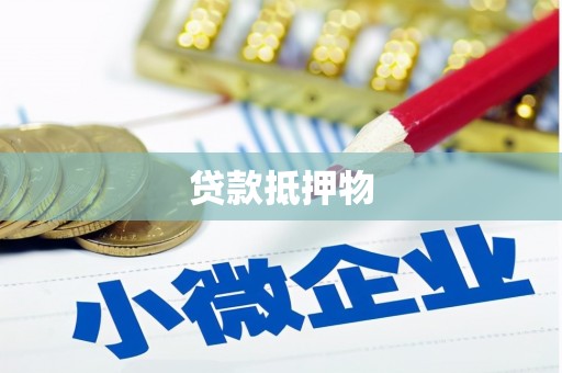 舟山新区贷款抵押物
