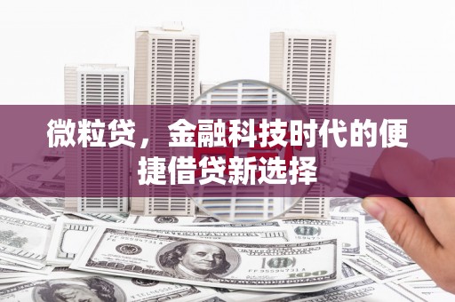 舟山新区微粒贷，金融科技时代的便捷借贷新选择