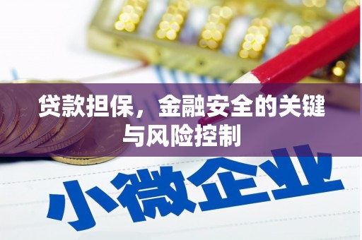 舟山新区贷款担保，金融安全的关键与风险控制