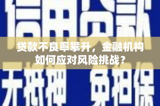 舟山新区贷款不良率攀升，金融机构如何应对风险挑战？