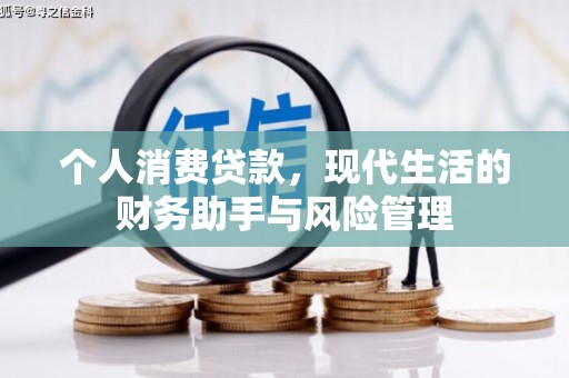 舟山新区个人消费贷款，现代生活的财务助手与风险管理