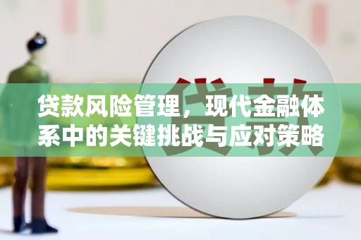 舟山新区贷款风险管理，现代金融体系中的关键挑战与应对策略