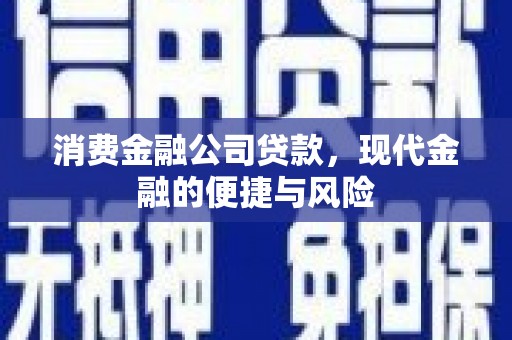 舟山新区消费金融公司贷款，现代金融的便捷与风险