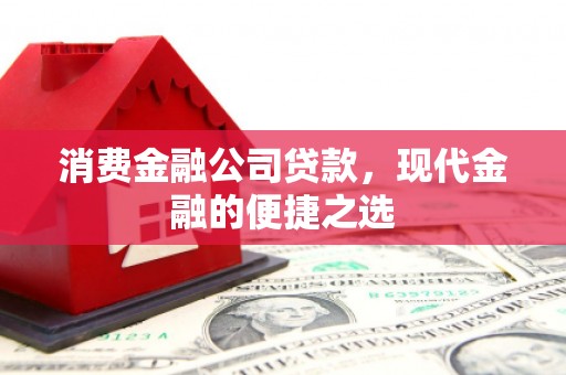 舟山新区消费金融公司贷款，现代金融的便捷之选