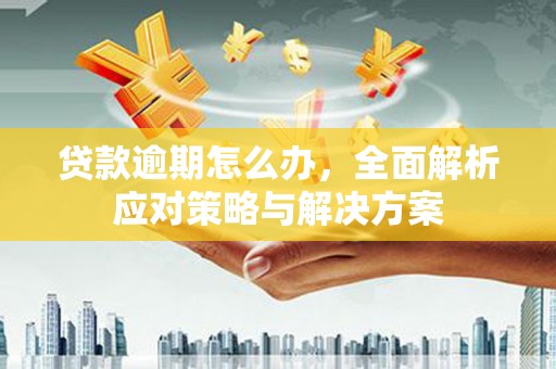 舟山新区贷款逾期怎么办，全面解析应对策略与解决方案