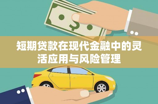 舟山新区短期贷款在现代金融中的灵活应用与风险管理