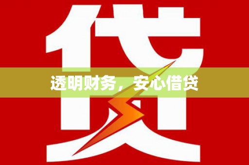 舟山新区透明财务，安心借贷