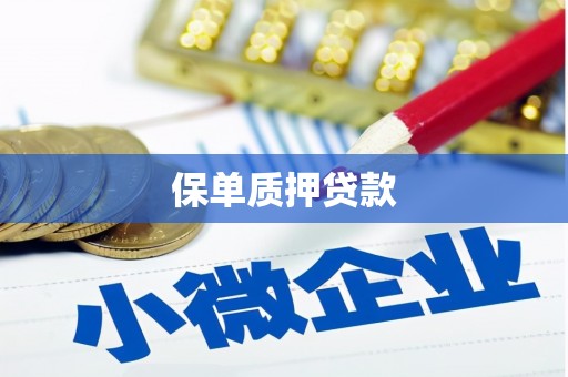 舟山新区保单质押贷款