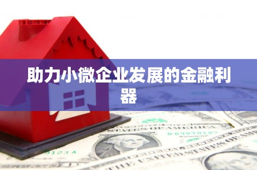 舟山新区助力小微企业发展的金融利器