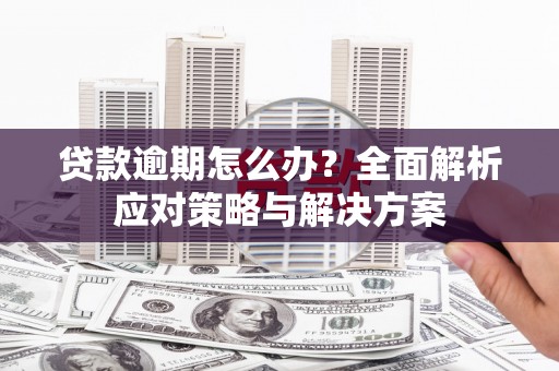 舟山新区贷款逾期怎么办？全面解析应对策略与解决方案