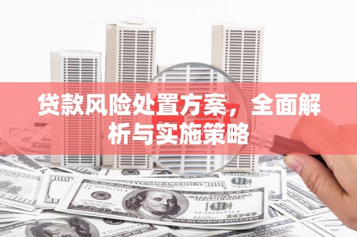 舟山新区贷款风险处置方案，全面解析与实施策略