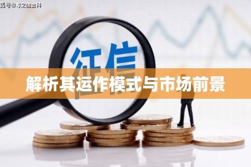 舟山新区解析其运作模式与市场前景