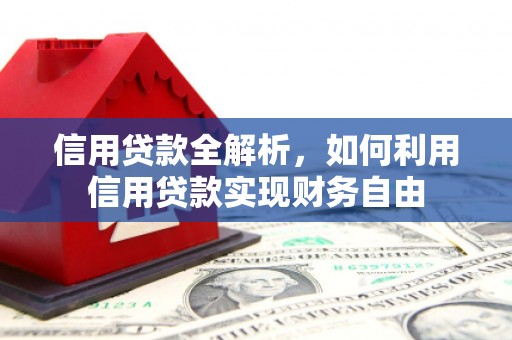 舟山新区信用贷款全解析，如何利用信用贷款实现财务自由