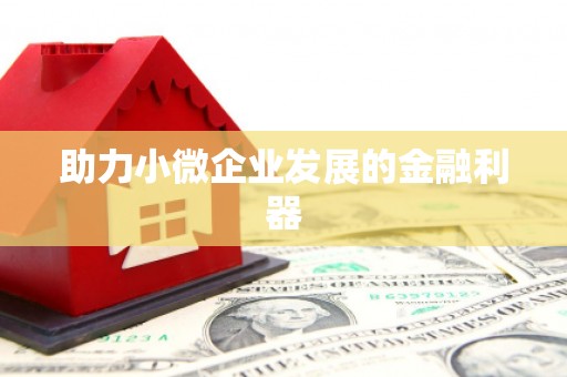 舟山新区助力小微企业发展的金融利器